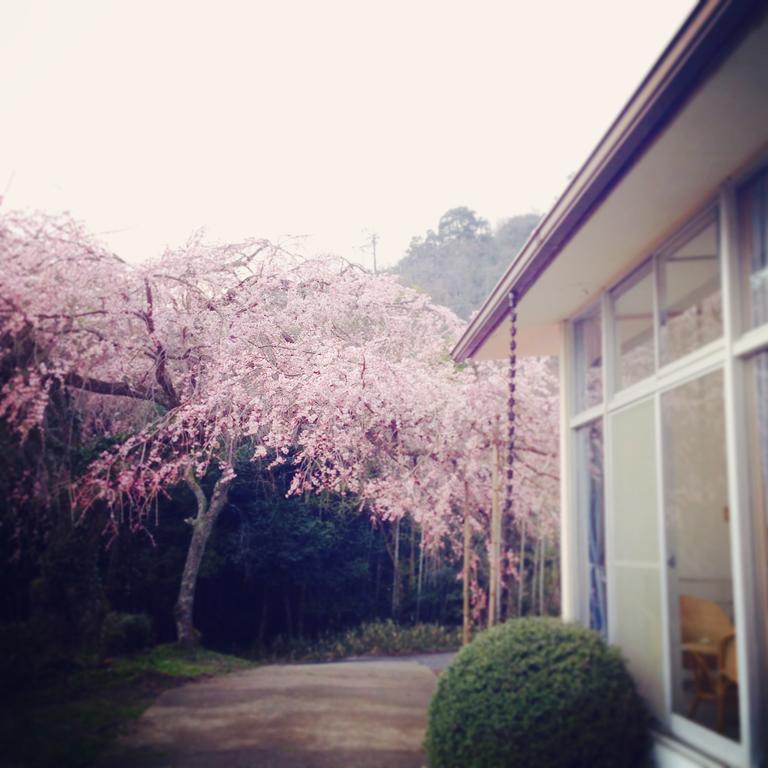 Amanohashidate Youth Hostel Миядзу Екстериор снимка